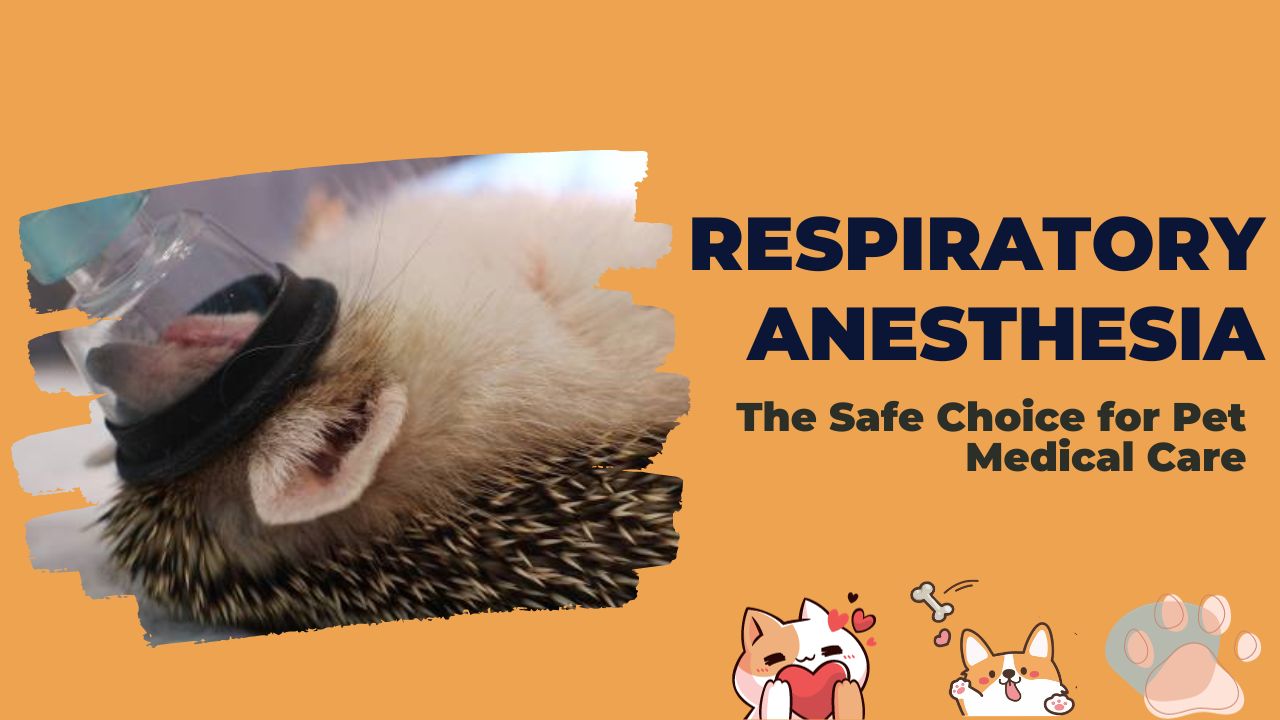 Title: Respiratory Anesthesia: The Safe Choice for Pet Medical Care